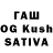 Каннабис White Widow ZAX STORMx