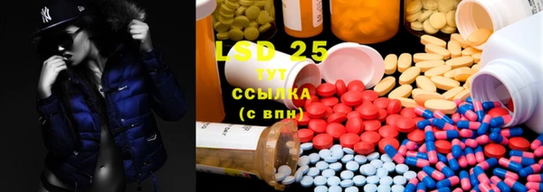 PSILOCYBIN Нефтегорск