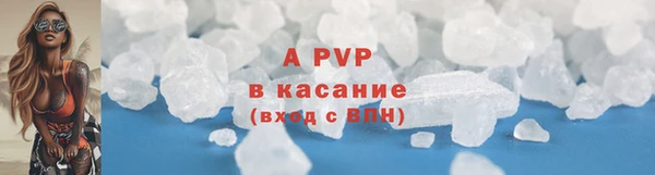 PSILOCYBIN Нефтегорск