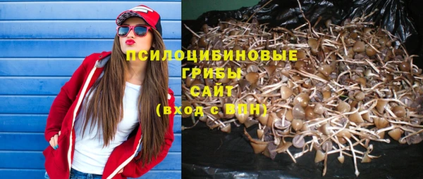 PSILOCYBIN Нефтегорск