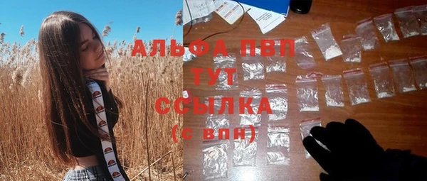 PSILOCYBIN Нефтегорск