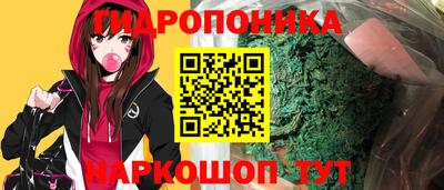 гашик Кинель