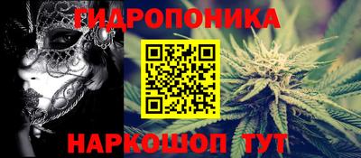 дживик Кингисепп