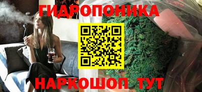 гашик Кинель