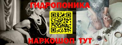 гашик Кинель
