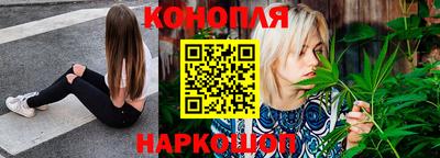 шишки Берёзовский