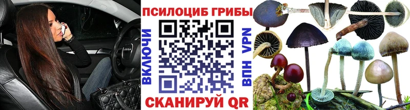 Псилоцибиновые грибы MAGIC MUSHROOMS цены Кинешма