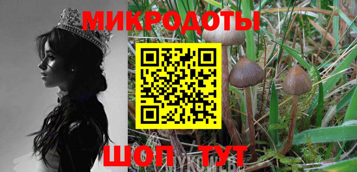 Галлюциногенные грибы Magic Shrooms Кинешма